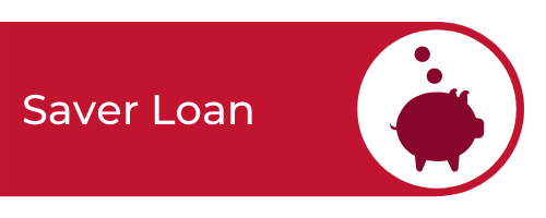 Saver Loan Icon